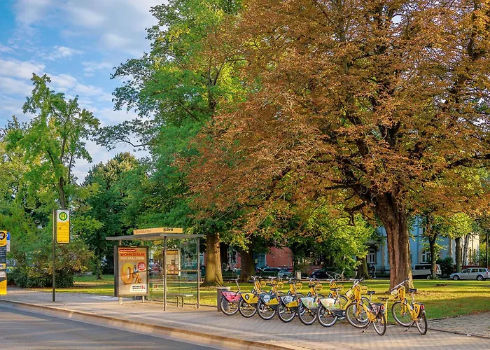 Quartierdresden Zentral-elbnah-ruhig-familienfeundlich-oepnv *